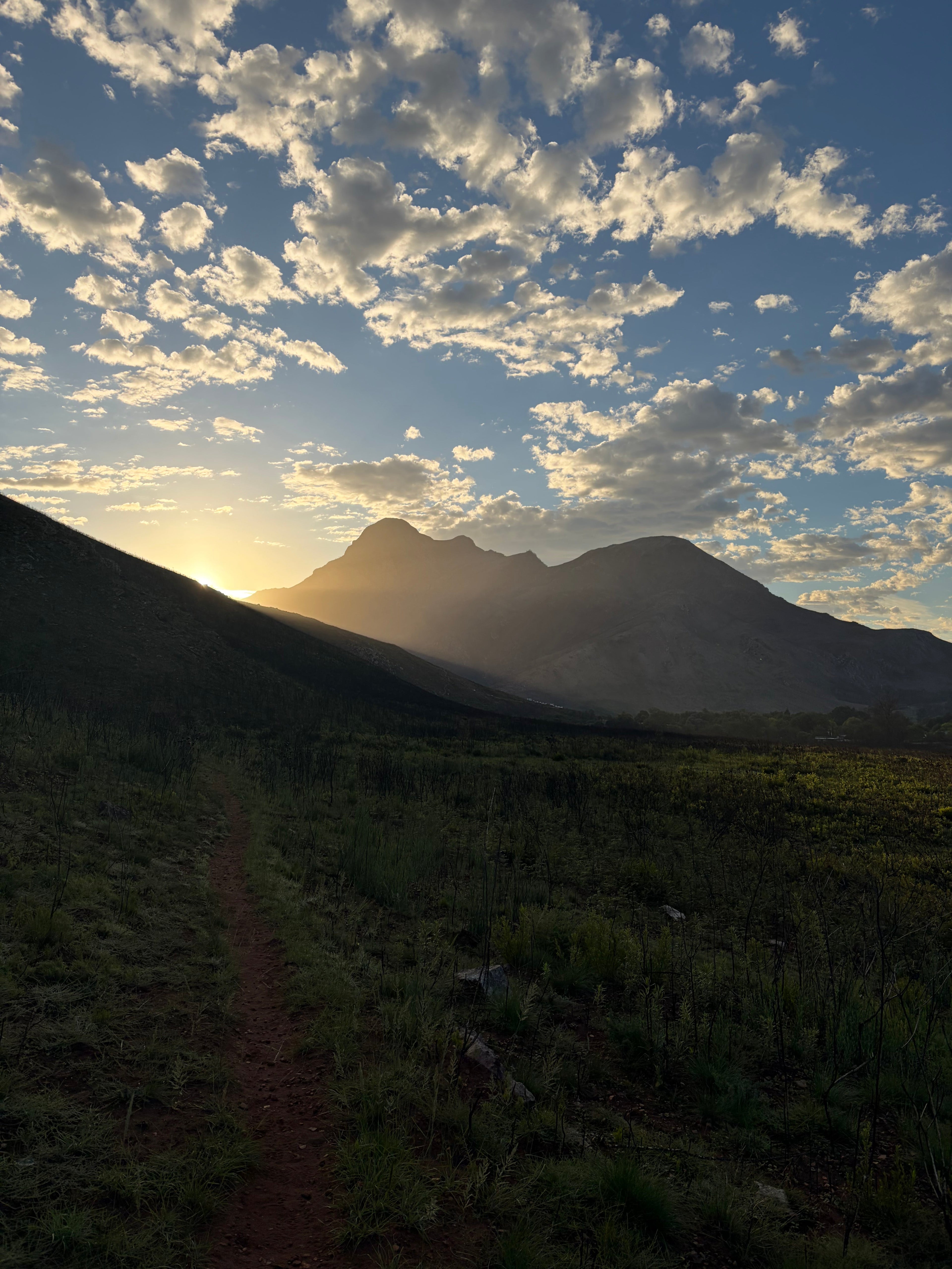 Coffee Mountains and Clarity: Inside Our 2026 Strategy Trip.