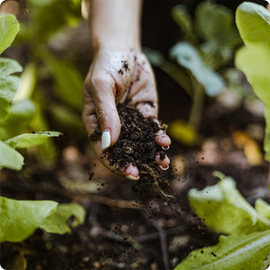 iCompost Home Composter