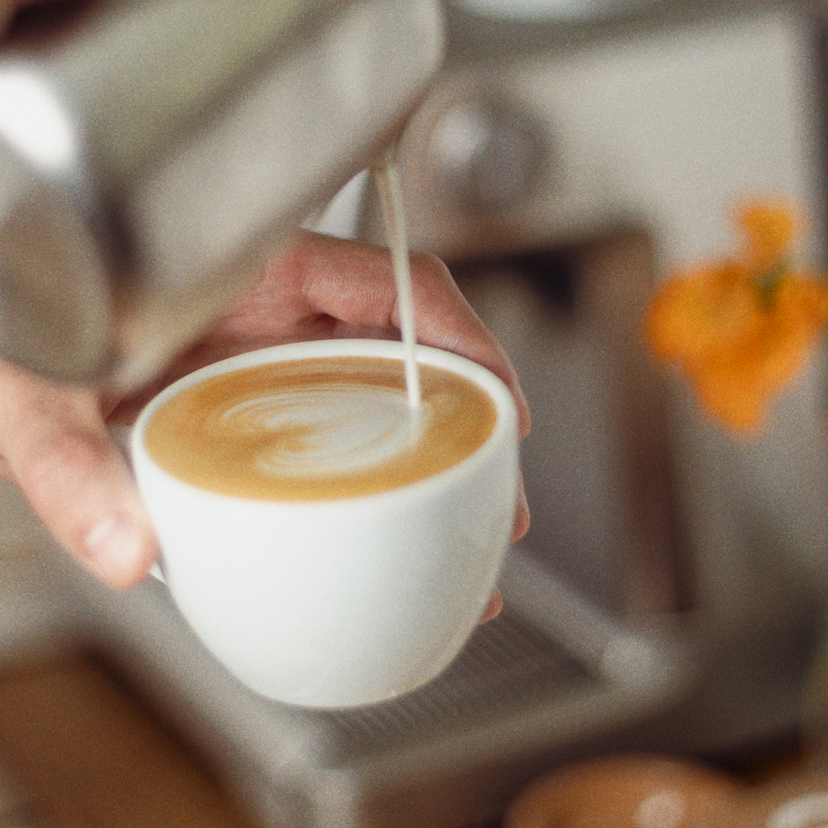 Good Coffee Subscription